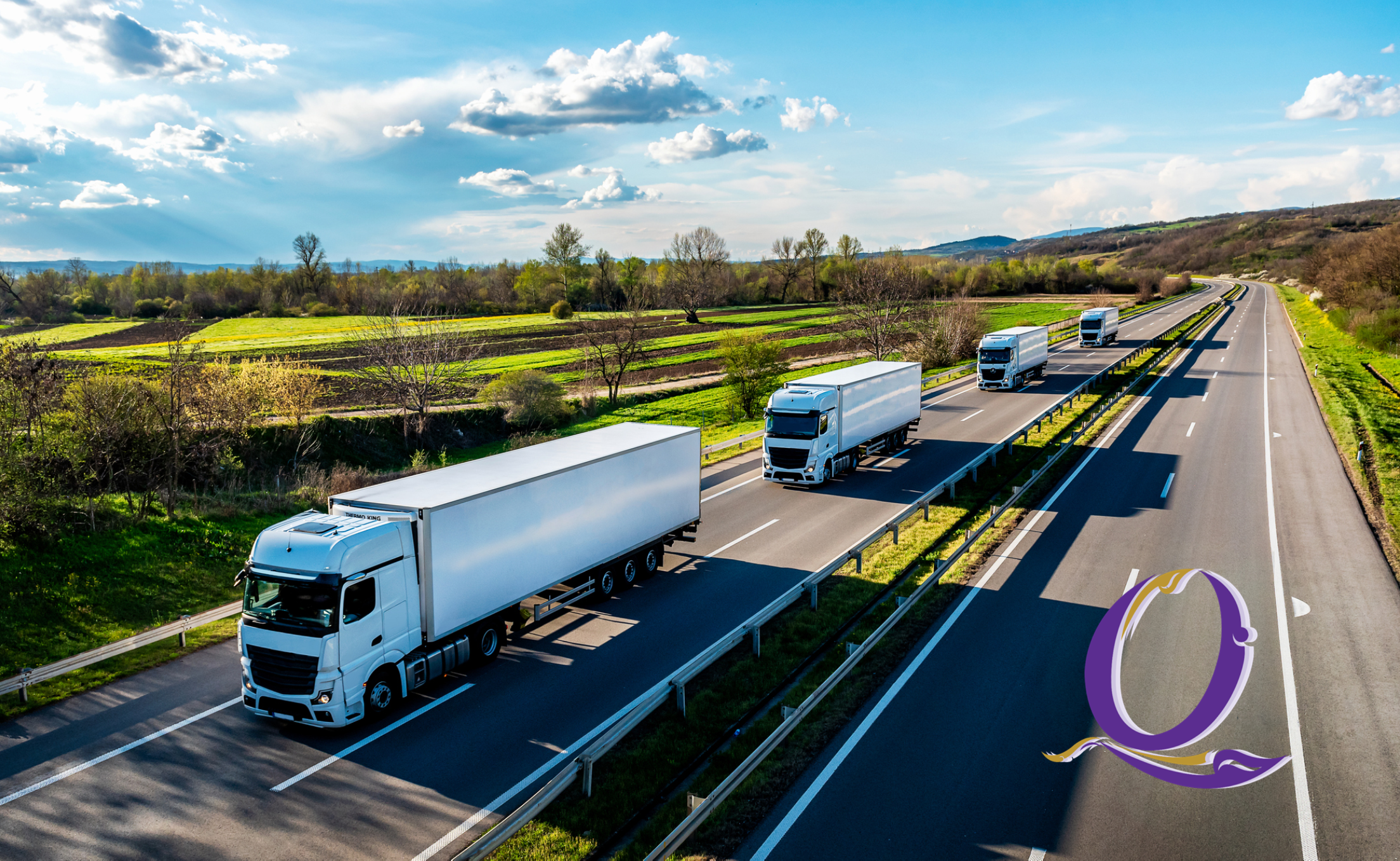 The Art of Baking: From Classic Bread to Artisan Pastries