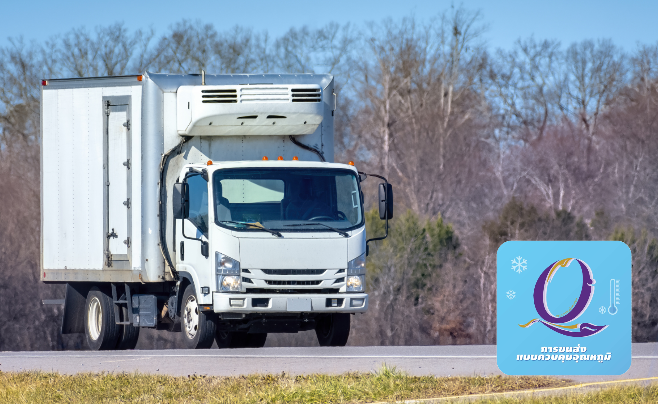 AI and Marketing: Unlocking Customer Insights